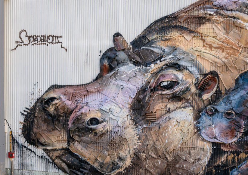 Milmurs production, Street-art, Martinique, Montréal, Réalisations