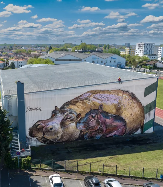 Bordalo - Festival Internationnal de Bègles, Bordeaux Métropole - Milmurs production - Art-Mural - Street-art