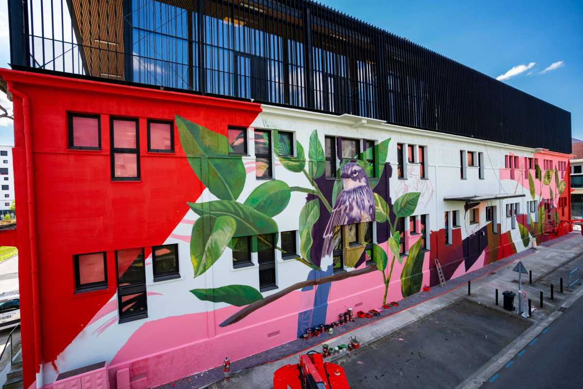 Milmurs production, Street-art, Martinique, Montréal, Plan du site