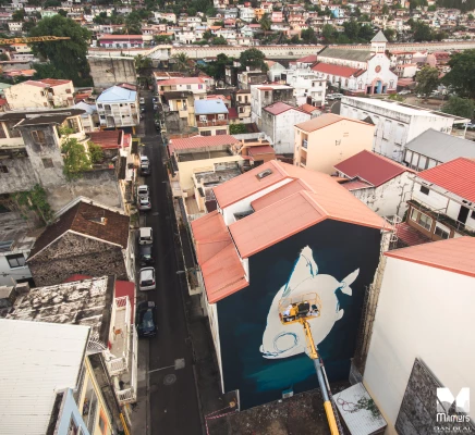 Milmurs production, Street-art, Martinique, Montréal, Veks Van Hillik - Festival Fort de France 2020