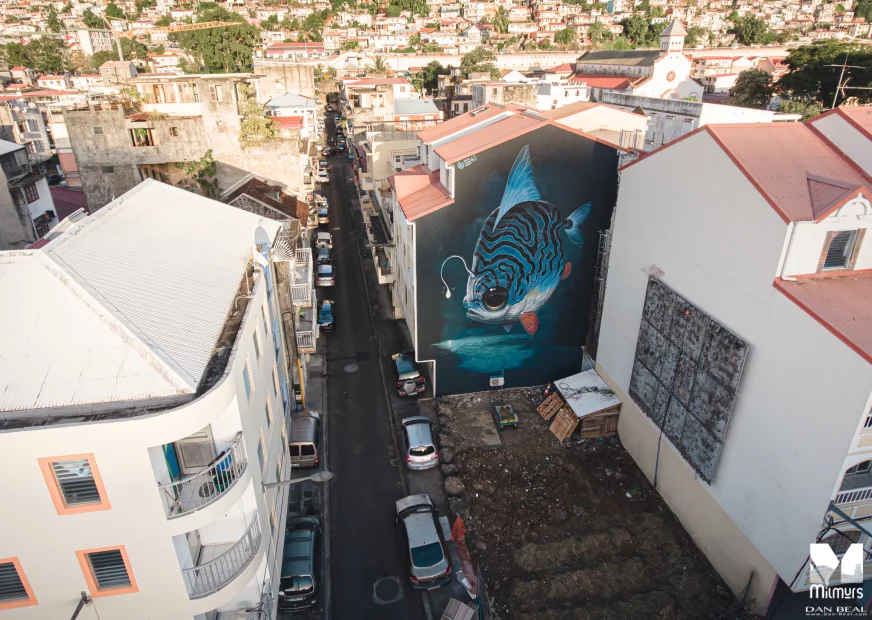 Veks Van Hillik - Festival Fort de France 2020