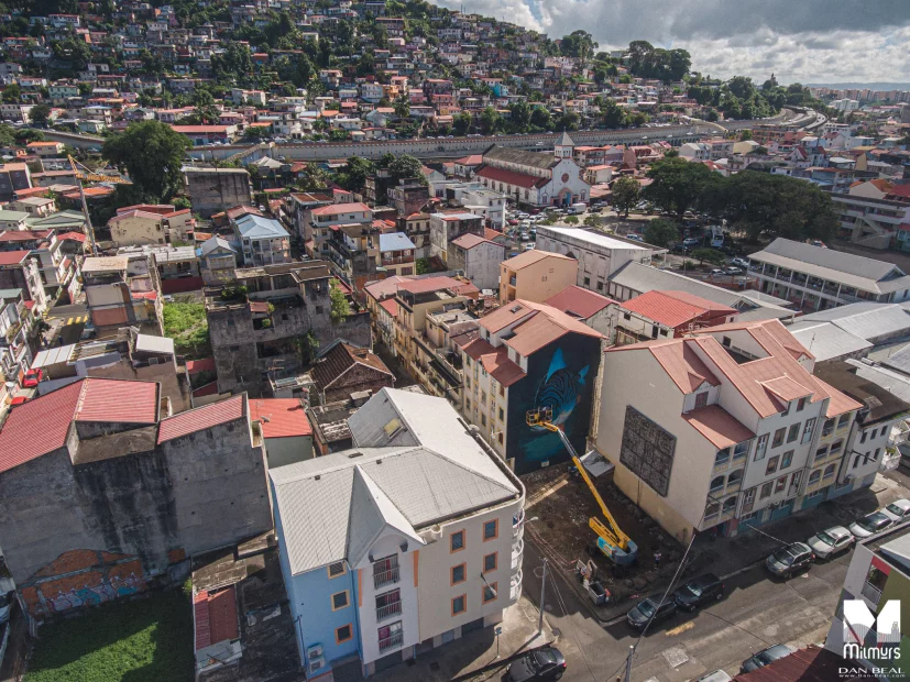Veks Van Hillik - Festival Fort de France 2020